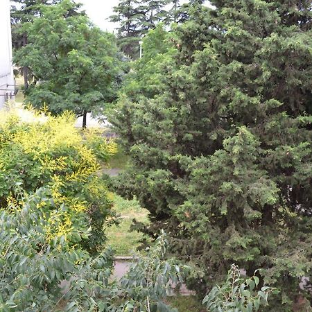 Good Vibes Apartment Zadar Bagian luar foto
