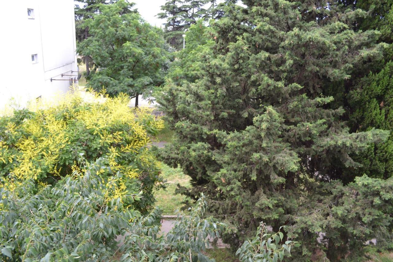 Good Vibes Apartment Zadar Bagian luar foto